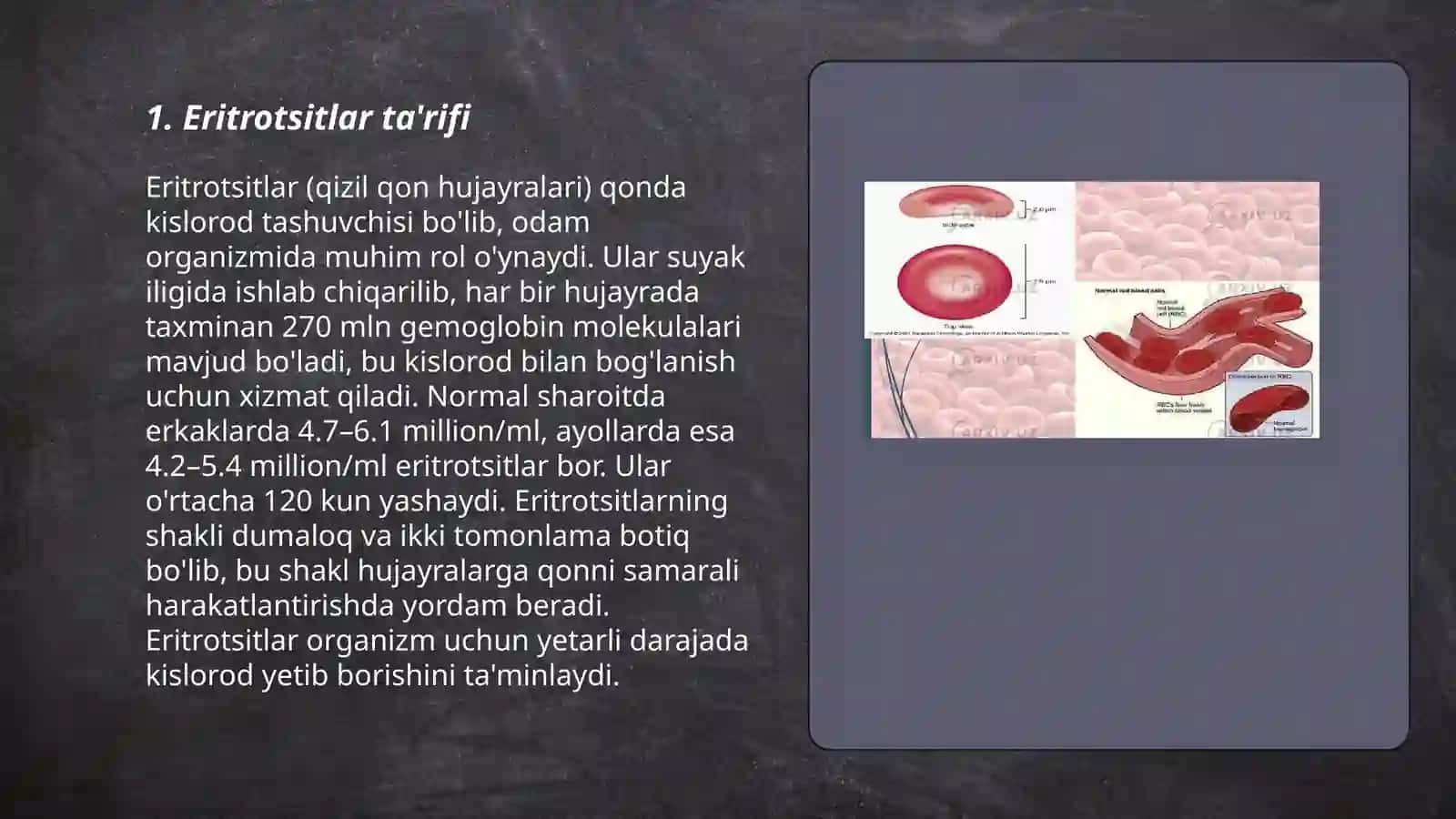 Eritrotsitlar, turlari funksiyalari. Gemoglobin va uning turlari 3