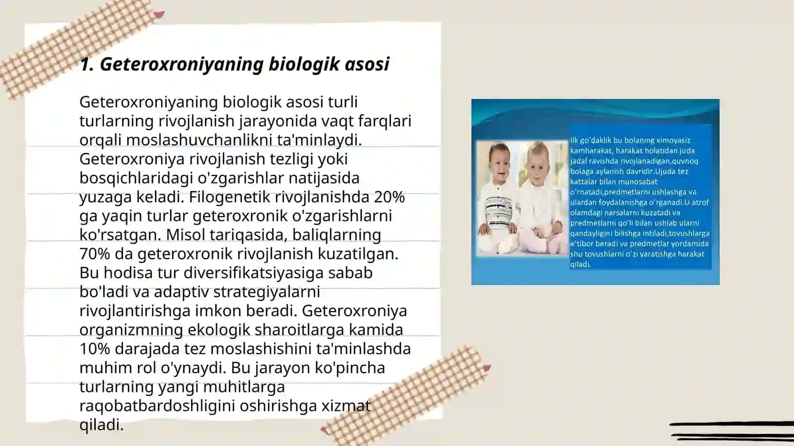 O'sish va rivojlanish geteroxroniyasi 3