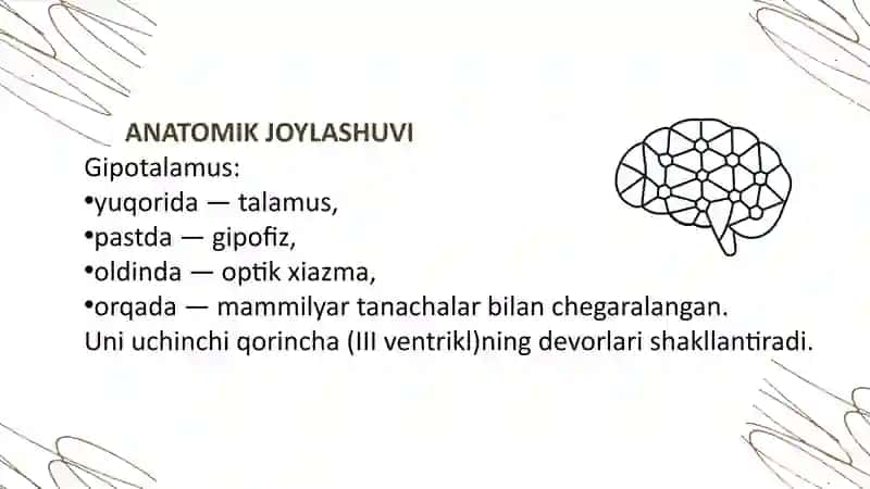 GIPOTALAMUS O’ZAKLARI VA ULARNING KLINIK AHAMIYATI 3