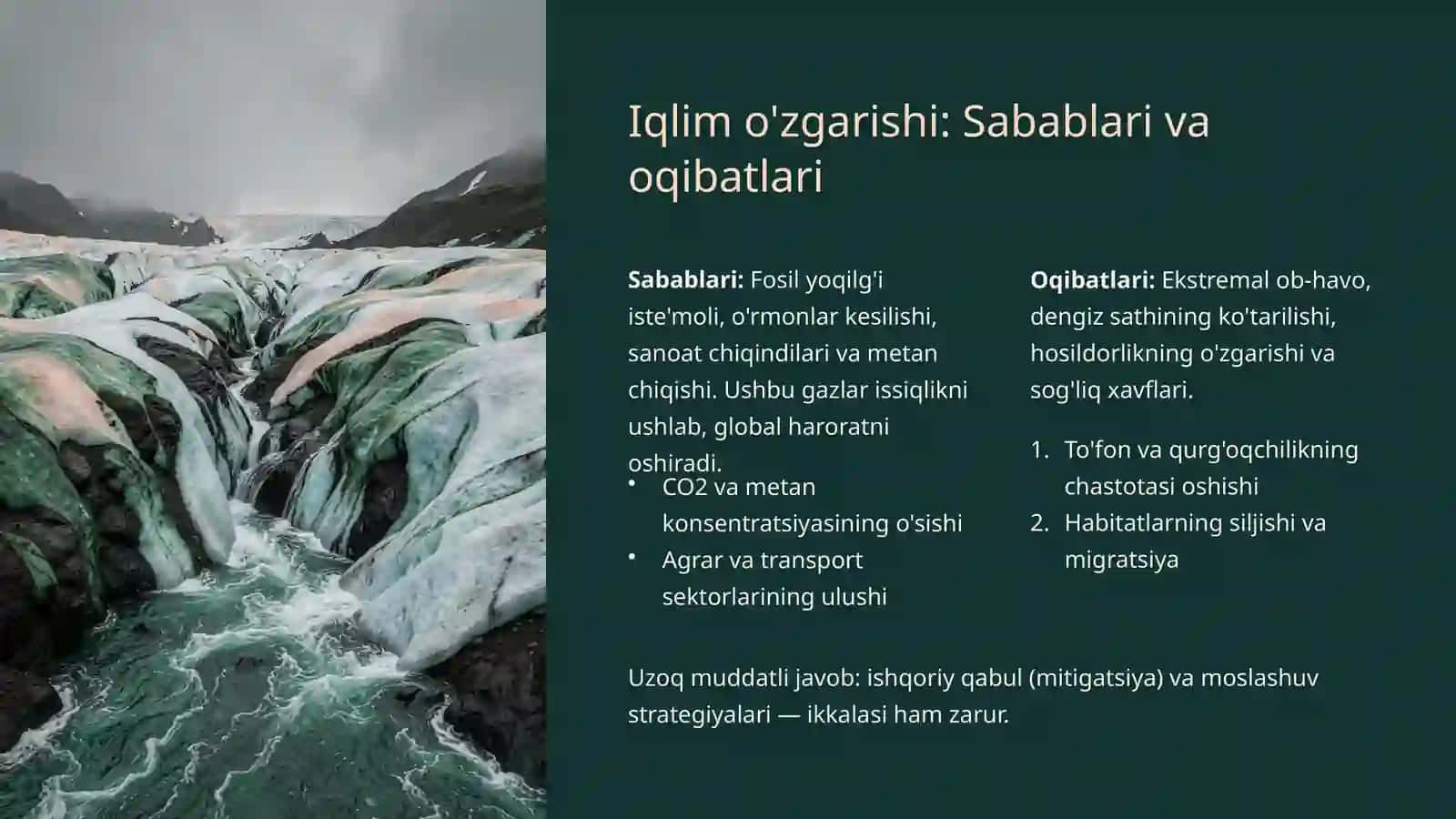 Ekologiya va atrof-muhit muammolari 3