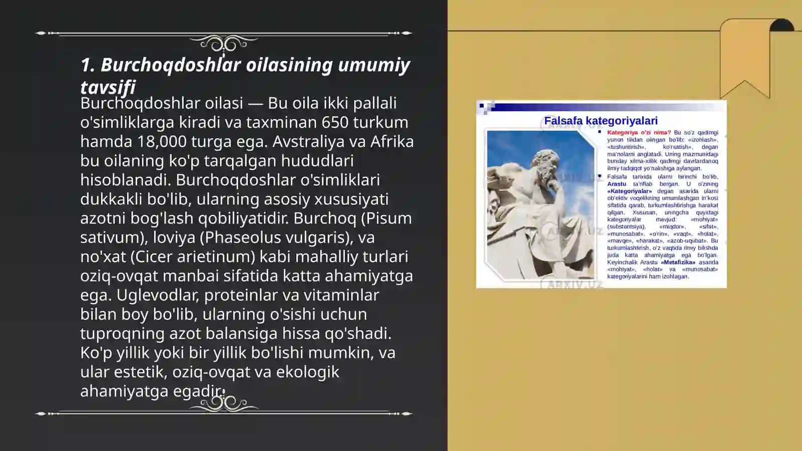 Burchoqnamolar qabilasi 3