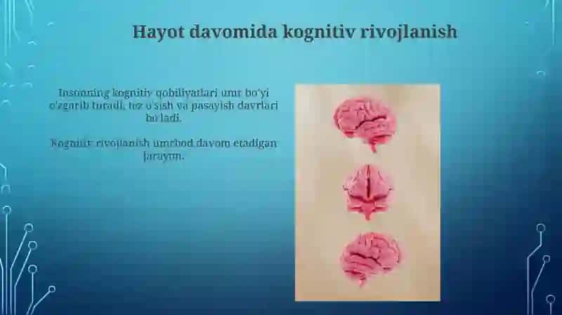Kongnitiv jarayonlarning shakllanishi 3
