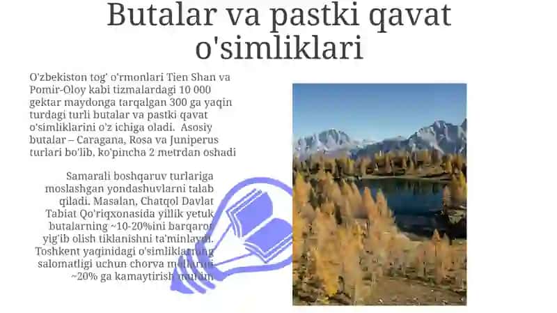 Oʻzbekiston togʻ oʻrmonlari. Dendrologik tarkibi va xoʻjalik yuritish 3