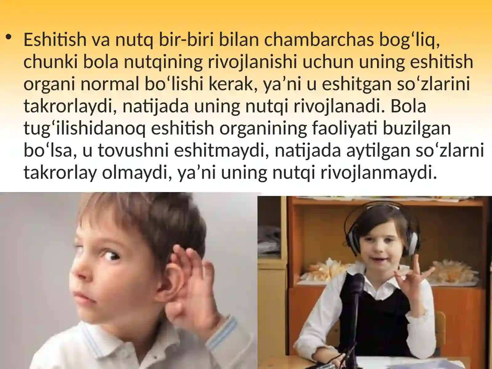 Eshitish organi (eshitish analizatori) 3