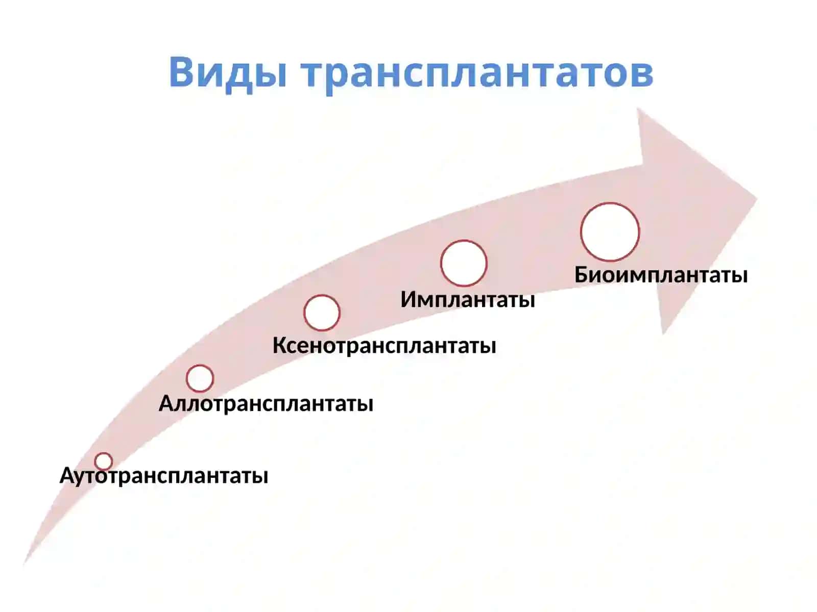 Трансплантация печени 3