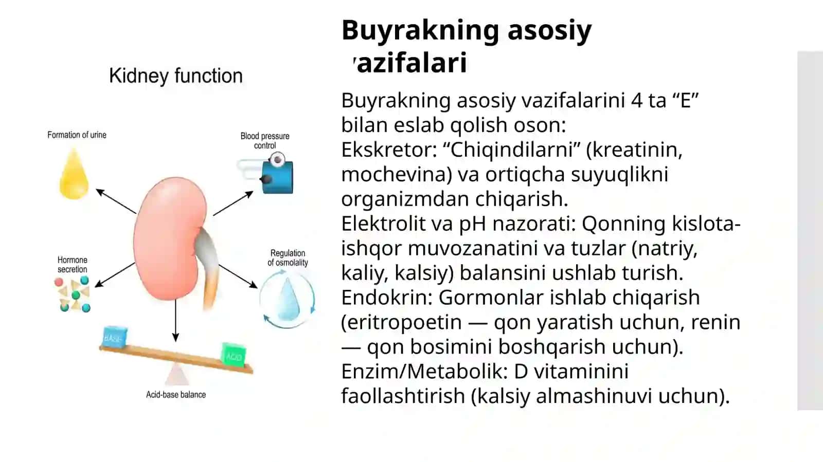 O‘tkir va surunkali buyrak yetishmovchiligi 3