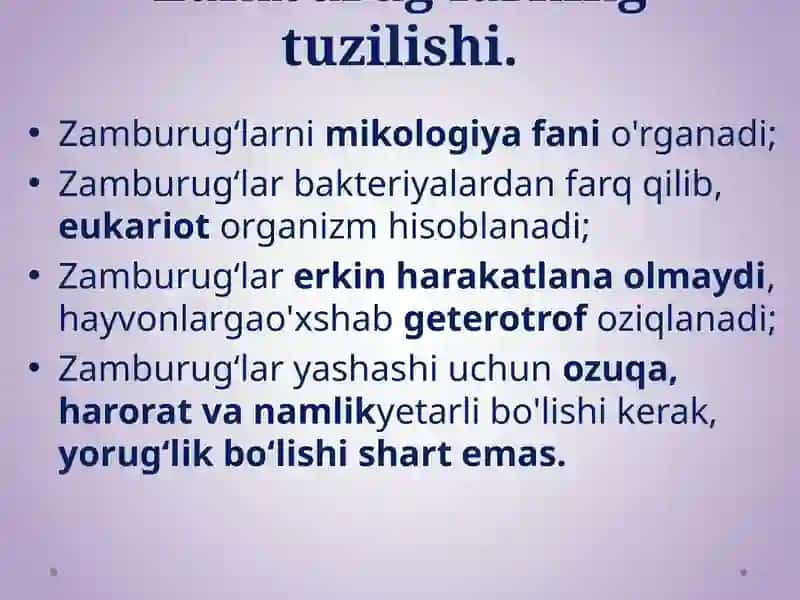 Zamburug‘lar dunyosi 3