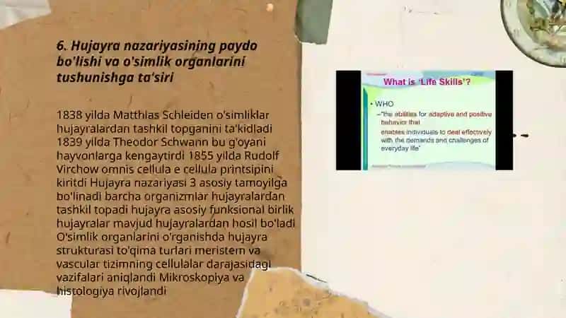 Hujayra nazariyasi 3