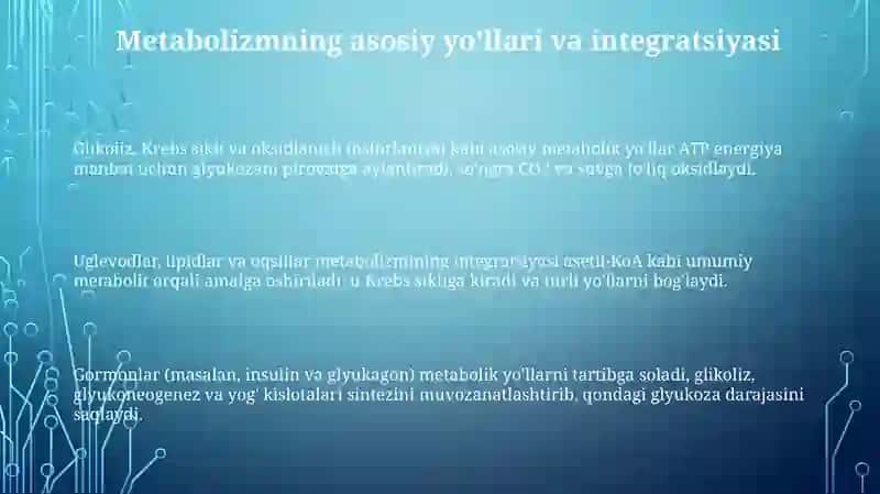 Organizmdagi moddalar almashinuvining o'zaro bog' ligligi 3