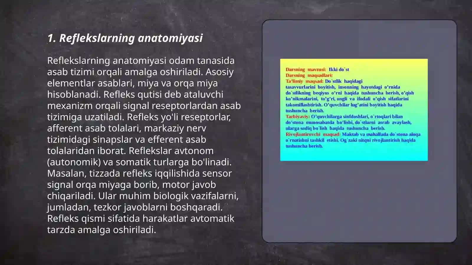 Reflekslar haqida tushuncha 3