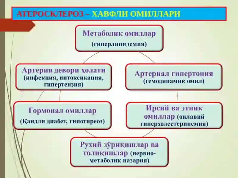 Атеросклероз. Гипертония касаллиги 3