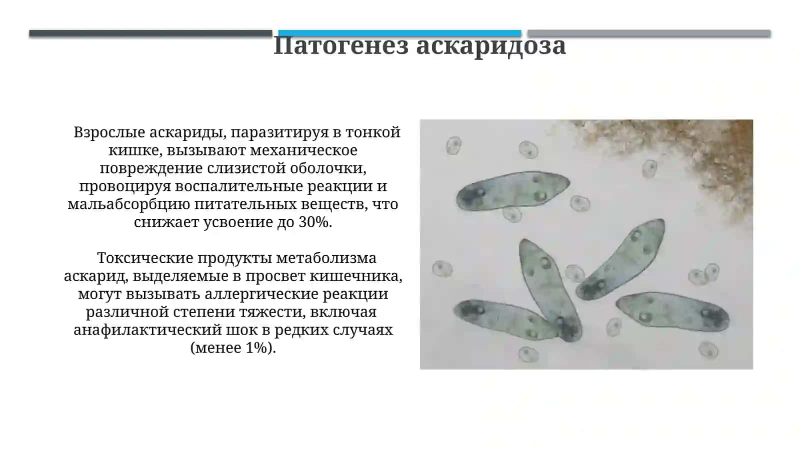 Эпидемиологические особенности аскаридоза 3
