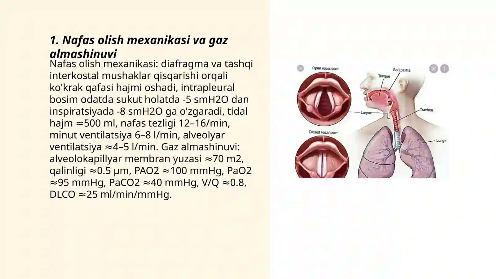 Nafas olish jarayoni 3