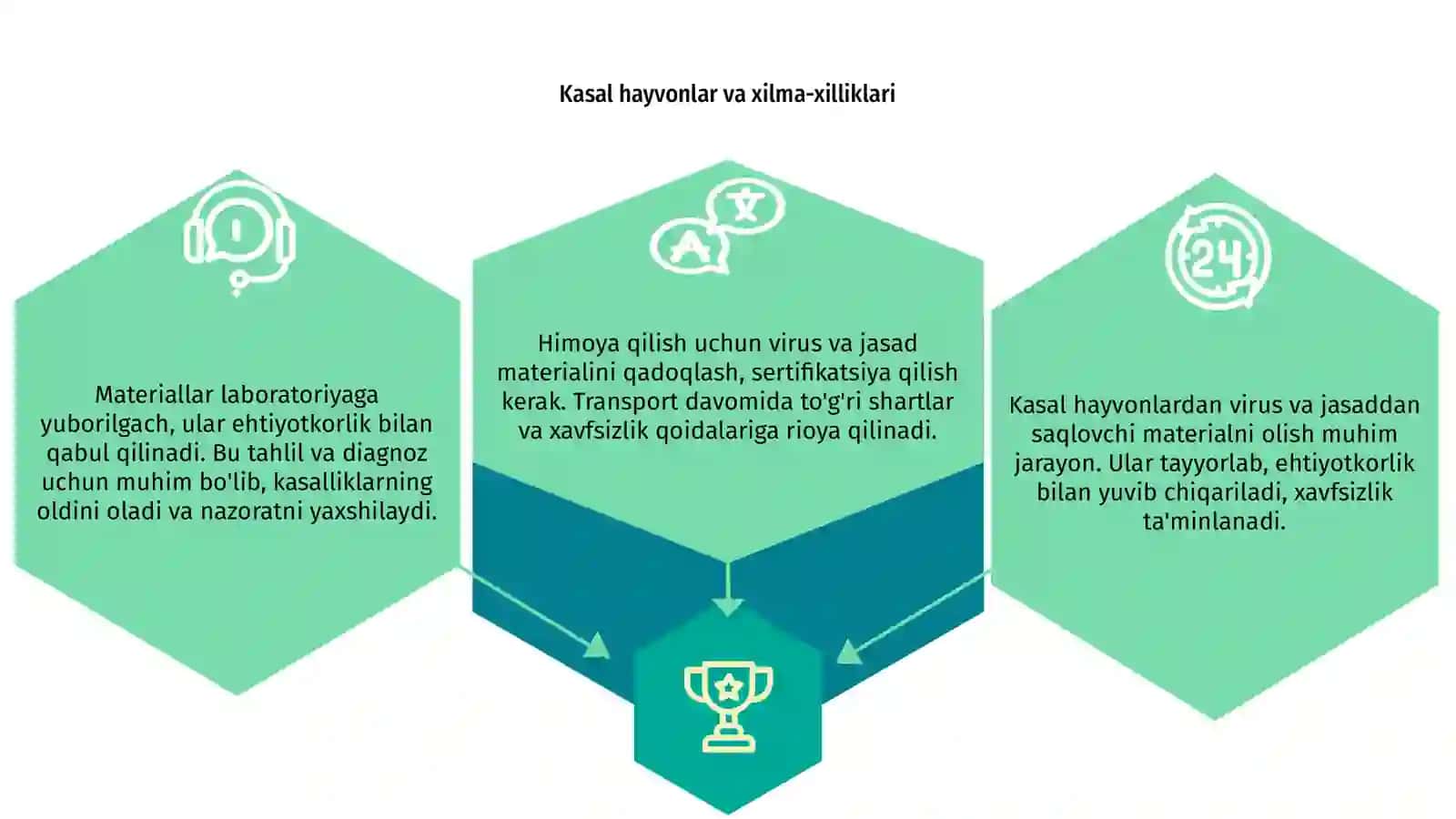 Kasal hayvonlar va xilma-xilliklari 3