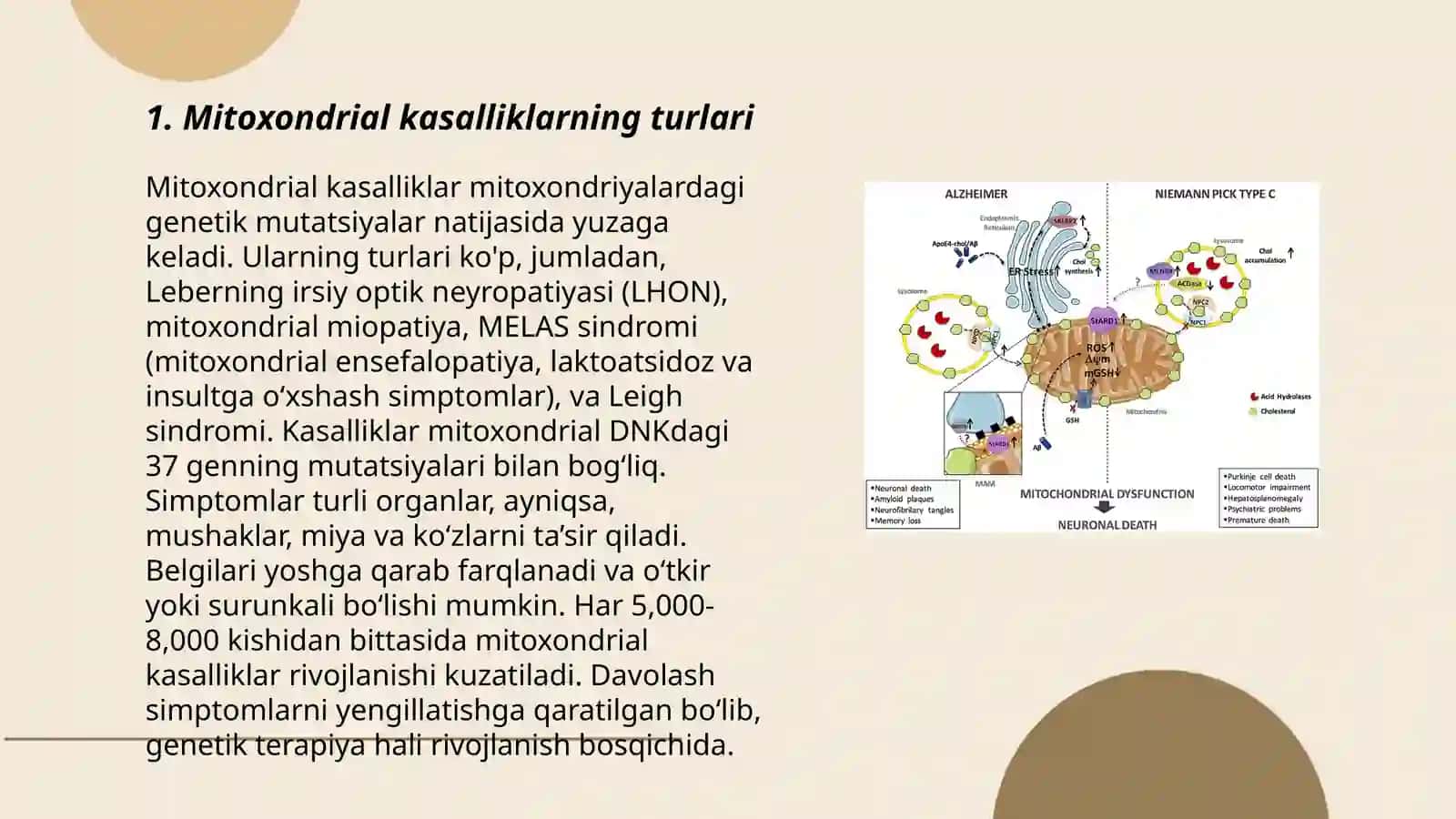 Mitoxondrial kasalliklar 3