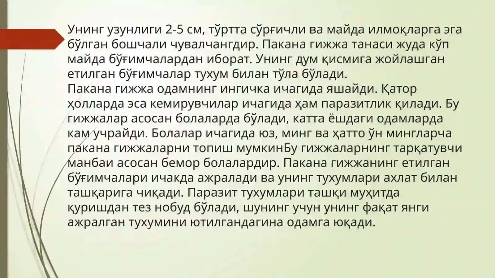 Gijjalar haqida umumiy ma’lumot.’’Pakana gijja’’ 3