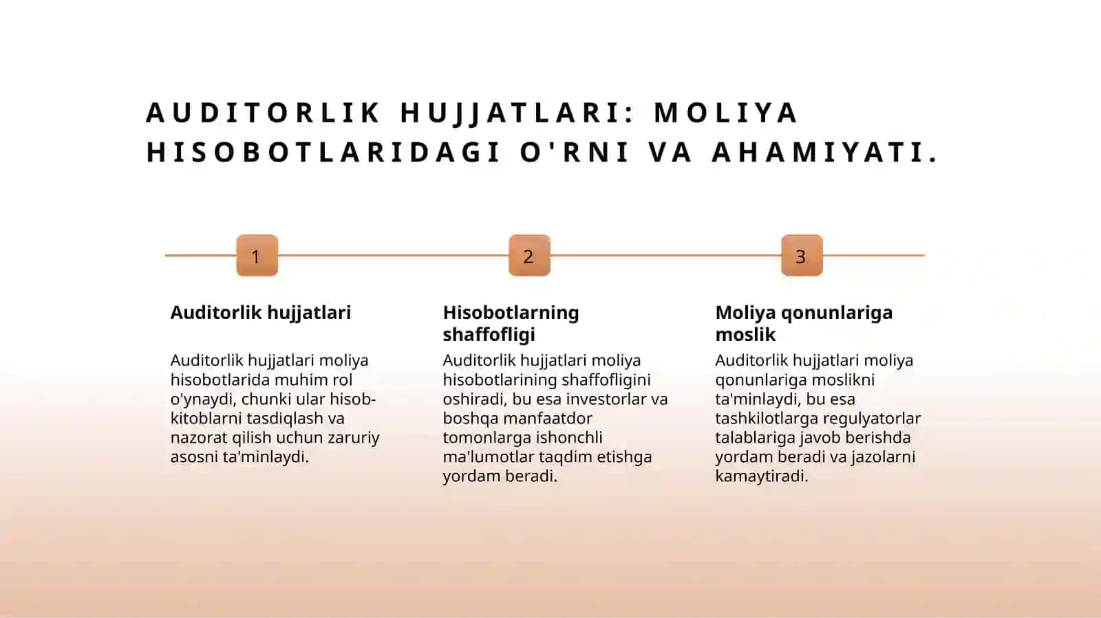 Auditorlik tashkilotining ish hujjatlari 3