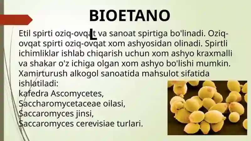 BIOETANOL OLINISH TEXNOLOGIYASI 3