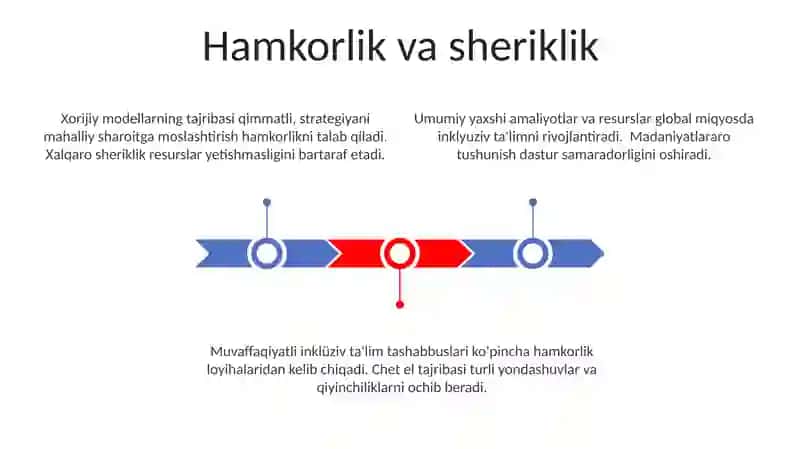 Muvaffaqiyatli Inklyuziv Ta'lim Modellari 3