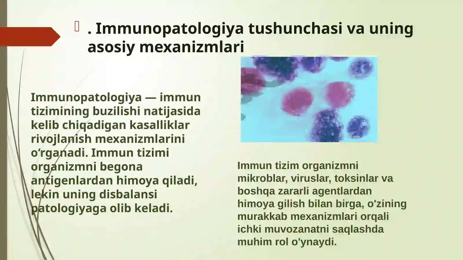 Immunopatologiya 3
