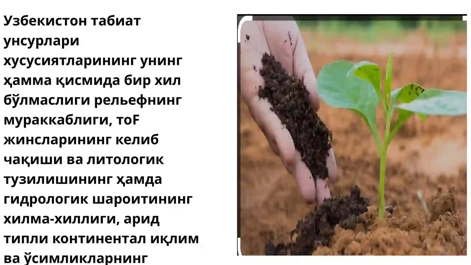Tuproqlar 3