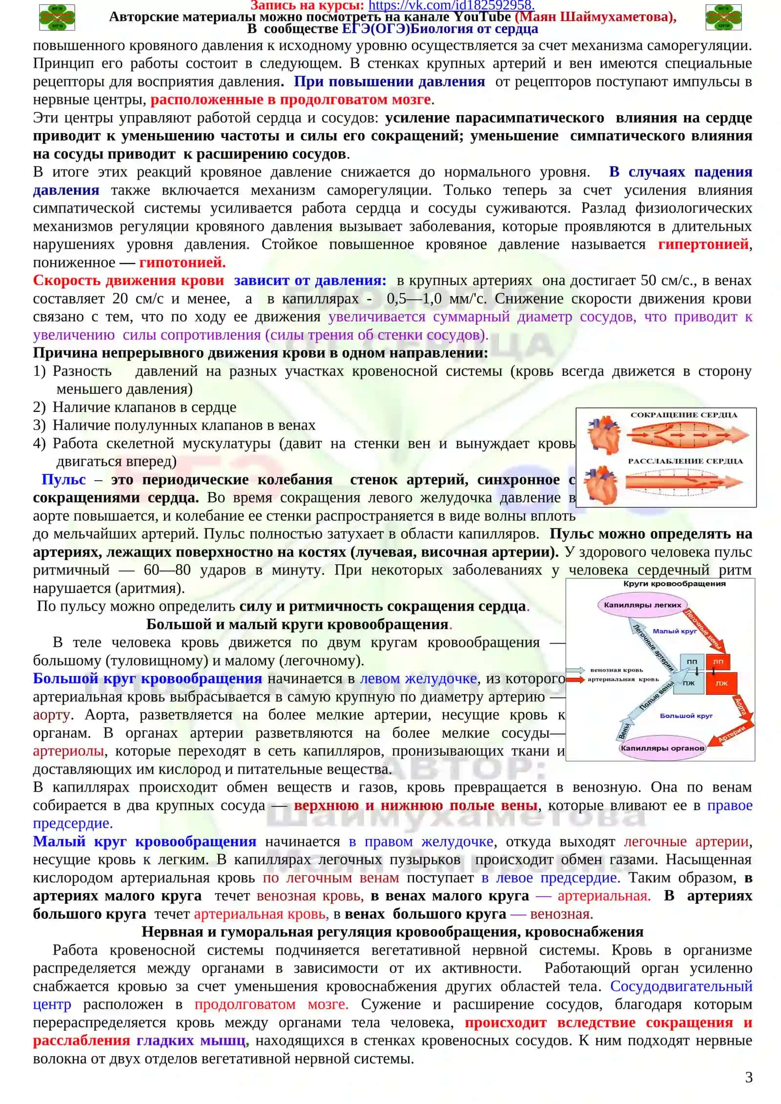Система органов кровообращения 3