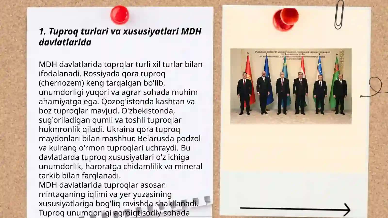 MDH davlatlari tuproqlari 3