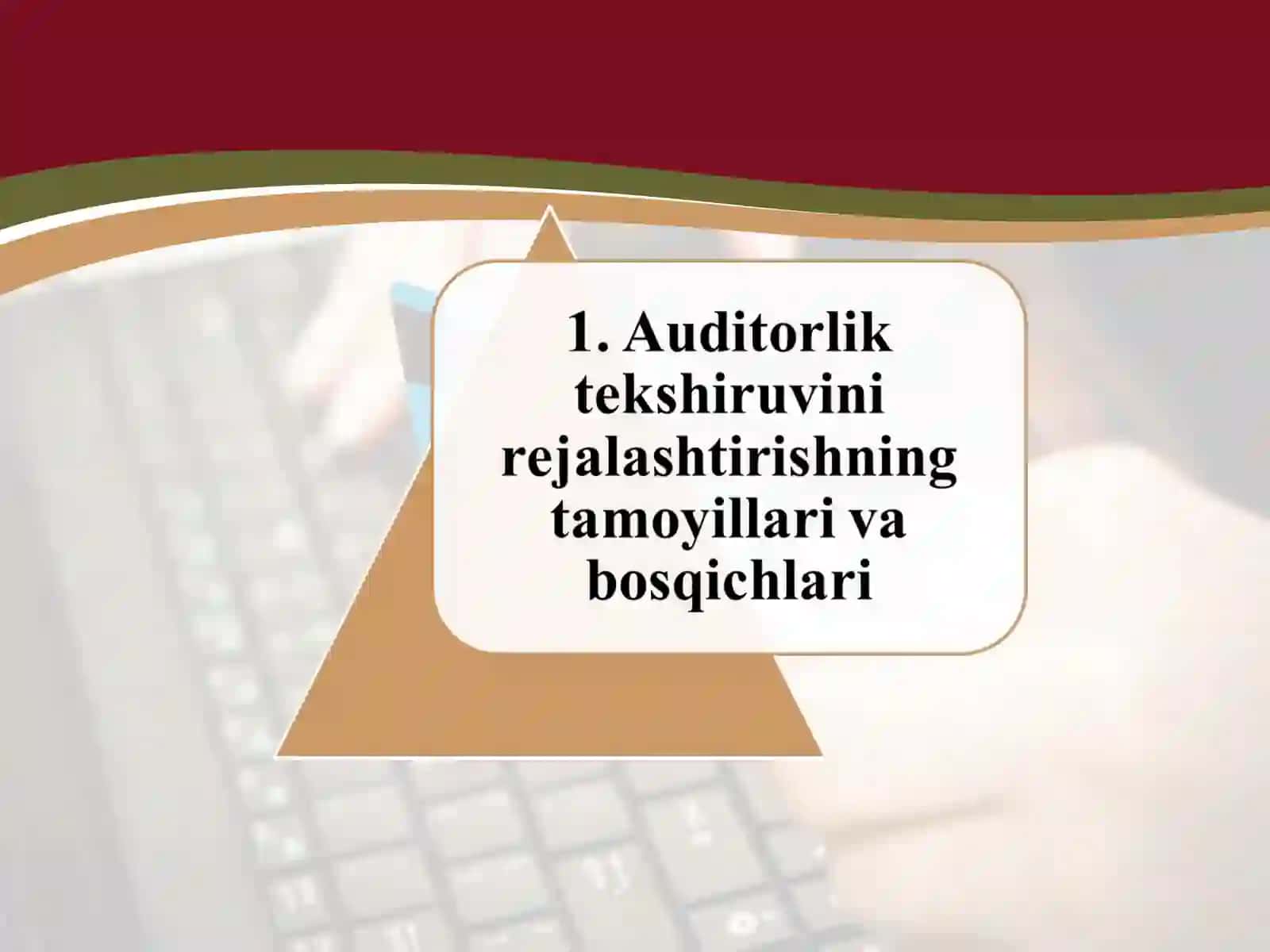 Auditorlik tekshiruvni xudjatlashtirish 3
