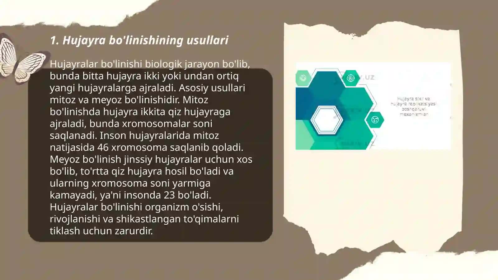 Hujayra bo'linishining norasmiy tiplari 3