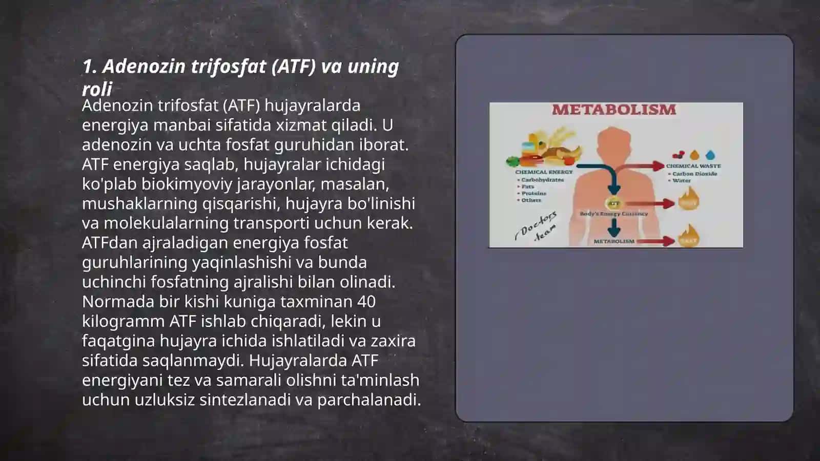Adenozin trifosfat (ATF) va uning roli 3