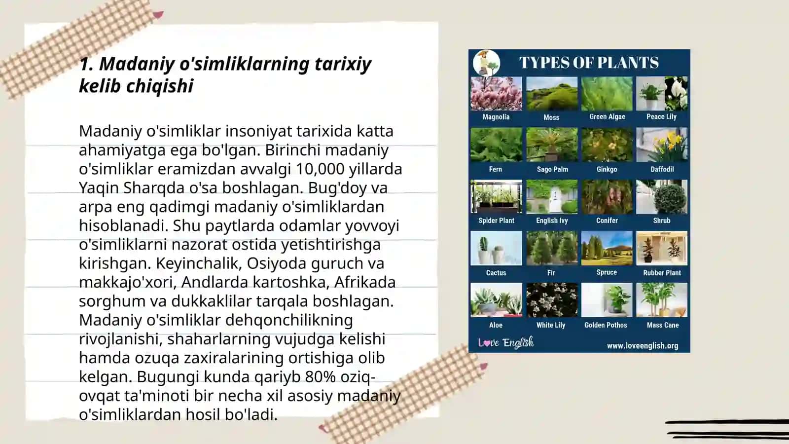 Madaniy o'simliklarning kelib chiqishi 3