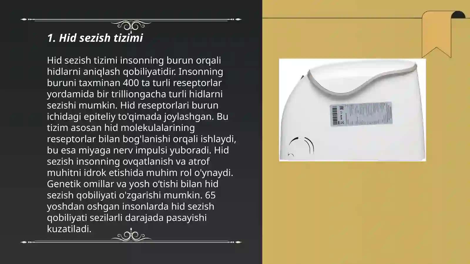 Hid bilish va ta'm bilish analizatorlari 3