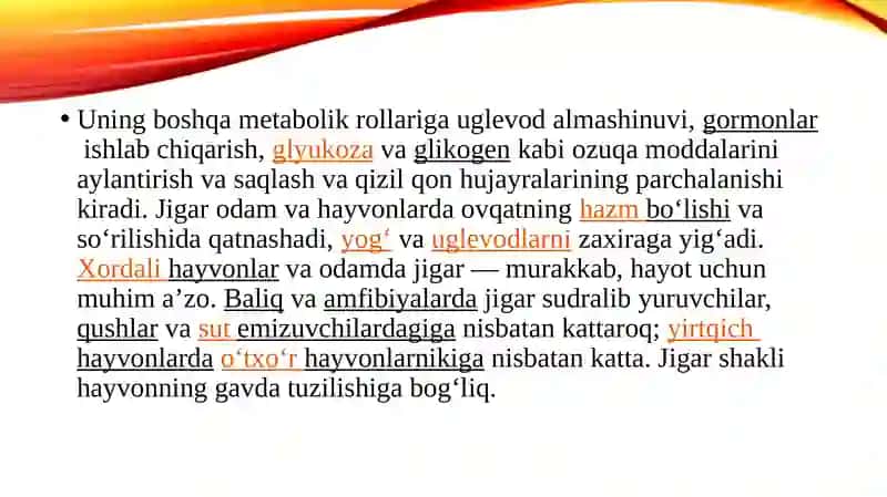 Jigar va me'da osti bezinibg tuzilishi 3