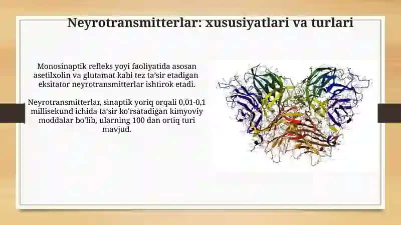 Sinaps Mediatorlarining Umumiy Tasnifi 3