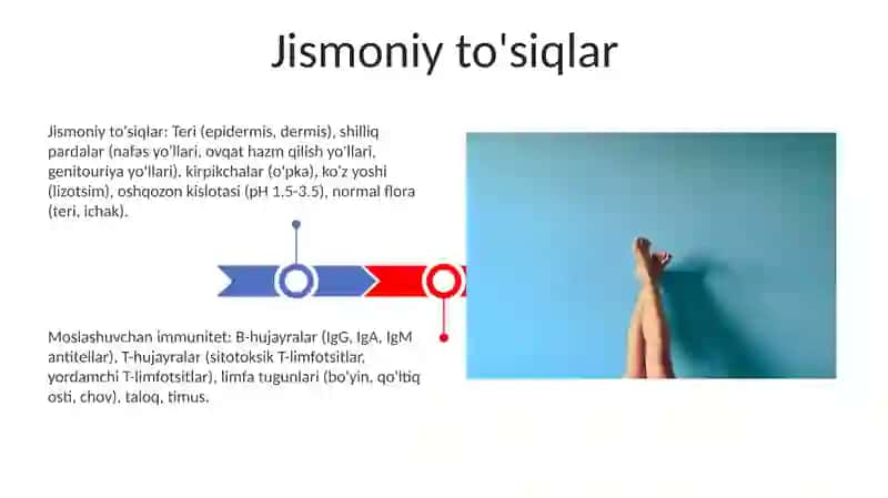Jismoniy to'siqlar 3