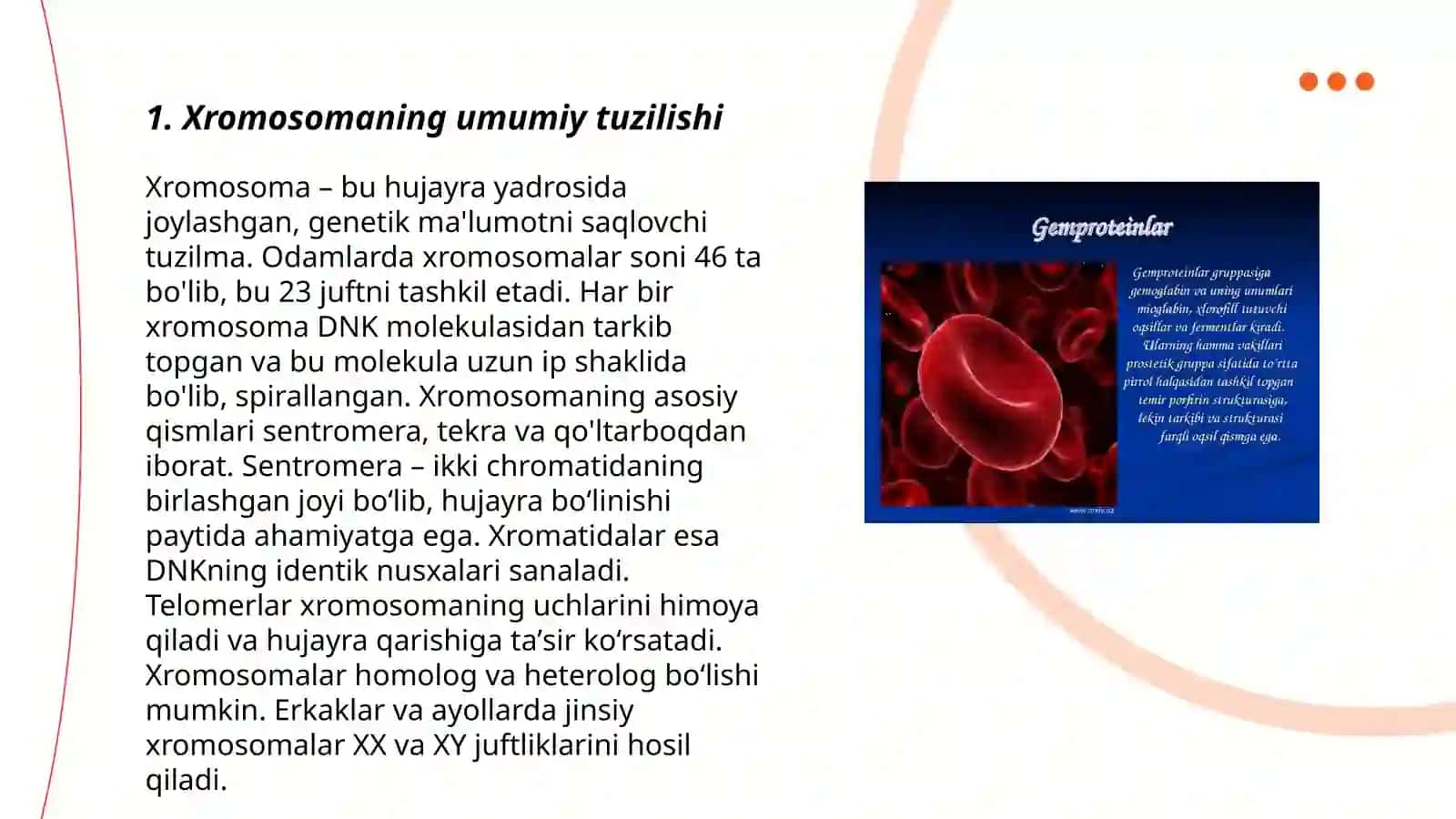 Xromosoma, uning tuzilishi va tarkibi 3