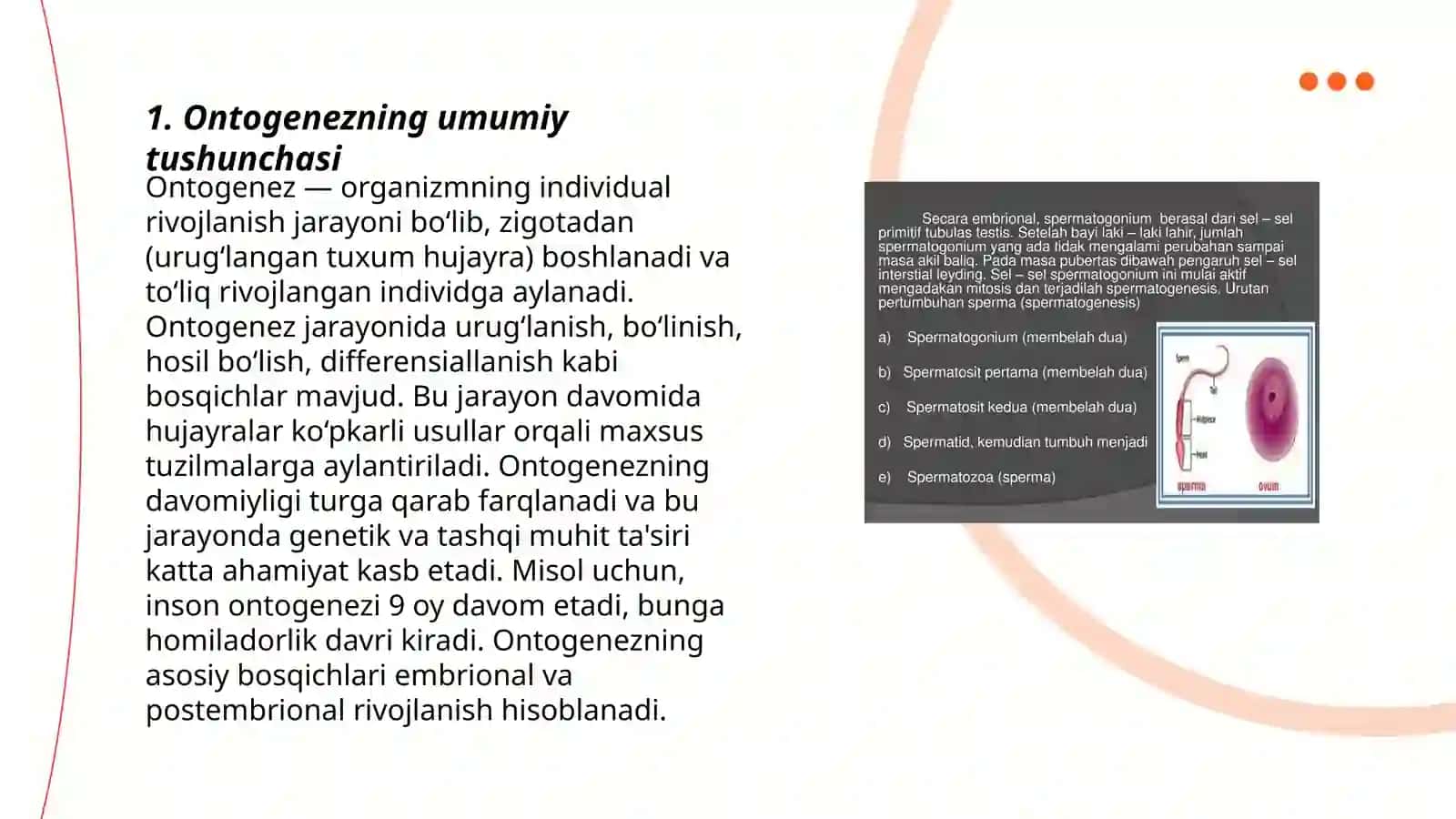 Ontogenez.Embrional ontogenezning asosiy davrlari 3