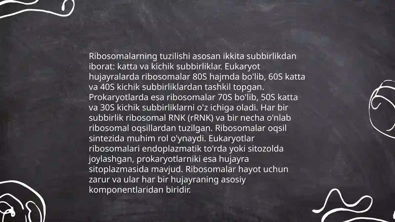 Ribasomaning mexano-kimyoviy xususiyatlari 3