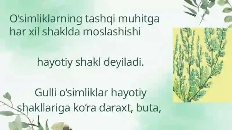 oʻsimliklar 3