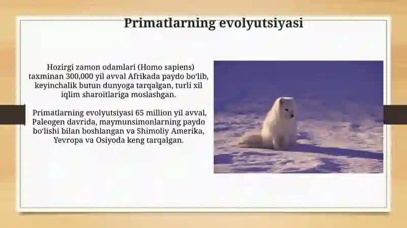 Xordalilar evolyutsiyasi 3