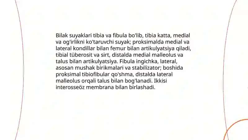 Oyoq suyaklari:Bilak 3