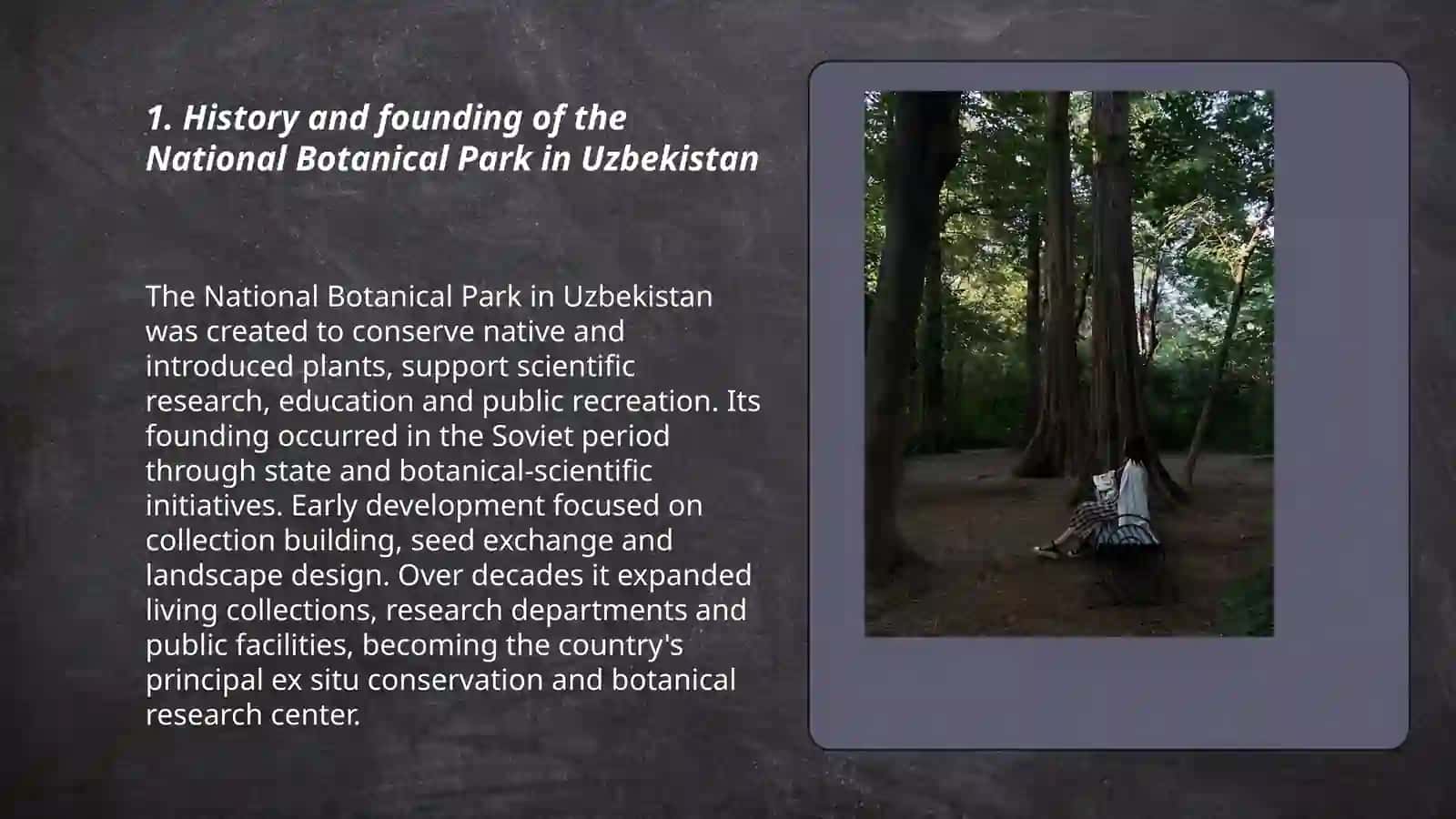 National Botanical Park in Uzbekistan 3