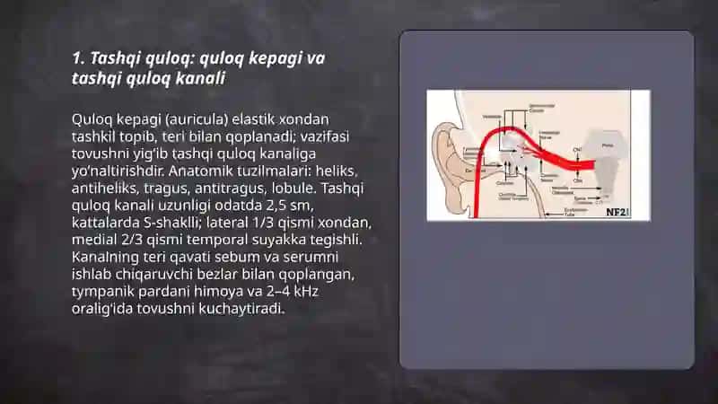 Eshituv va muvozanat azolar 3