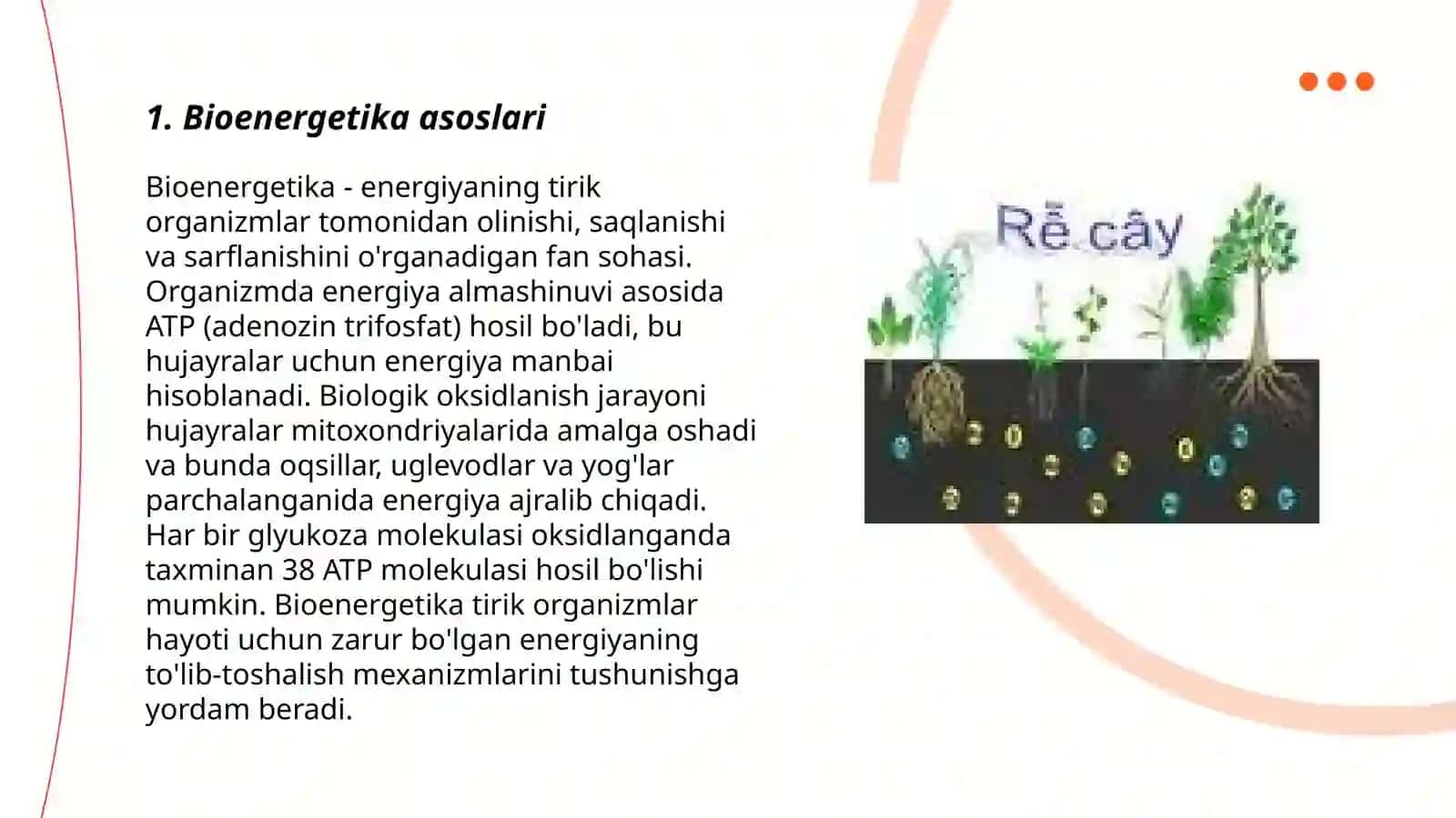 Bioenergetikaning asosiy tushunchalari 3