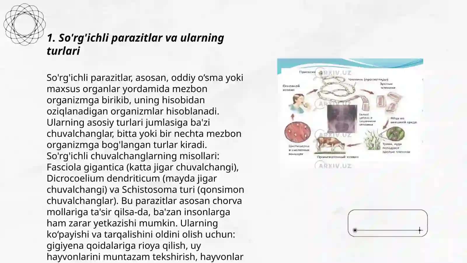 So'rg'ichlar-odam parazitlari 3