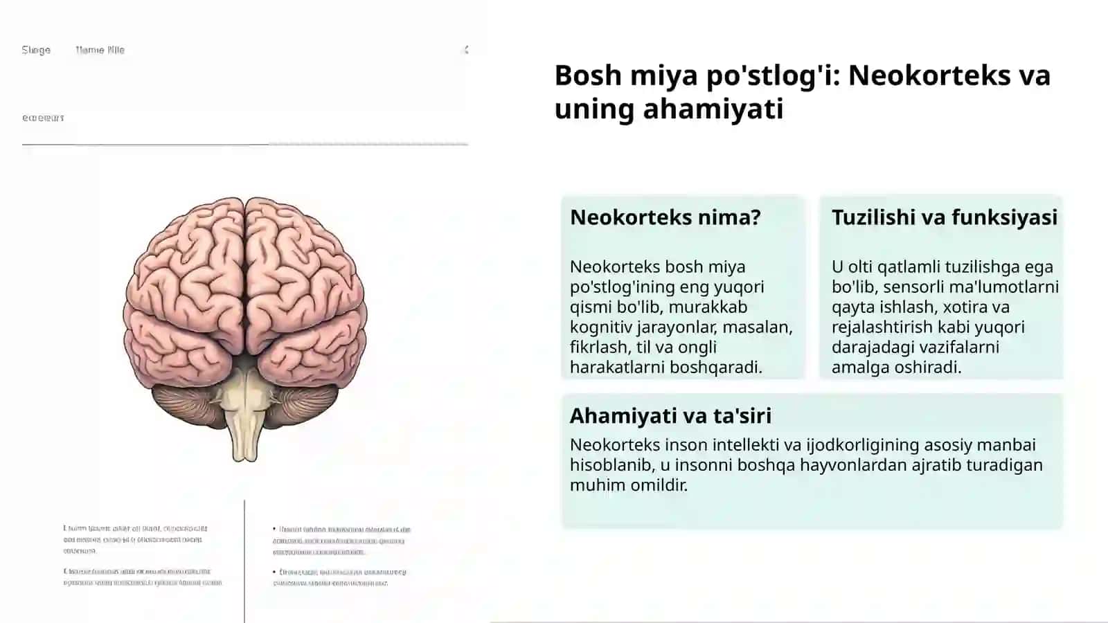 Bosh miya: Inson tanasining markazi 3