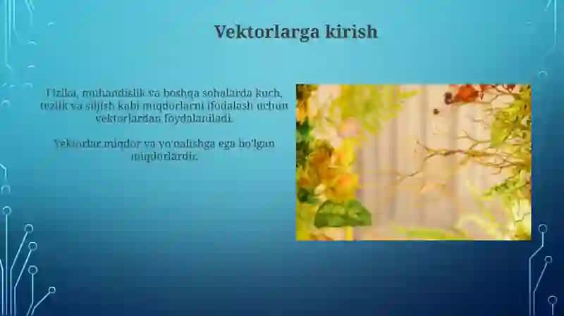 Vektorlar 3