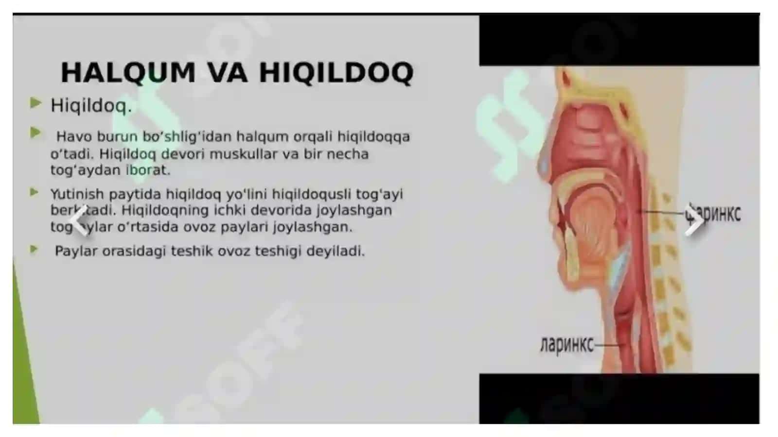 Ko'p tarmoqli tibbiyot texnikumi 3