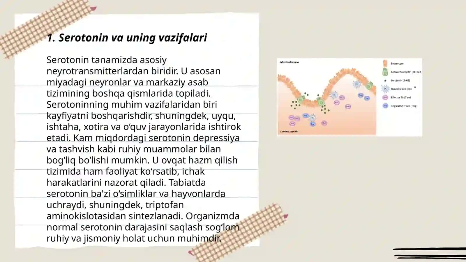 Serotonin va serotoninergik vositalar 3