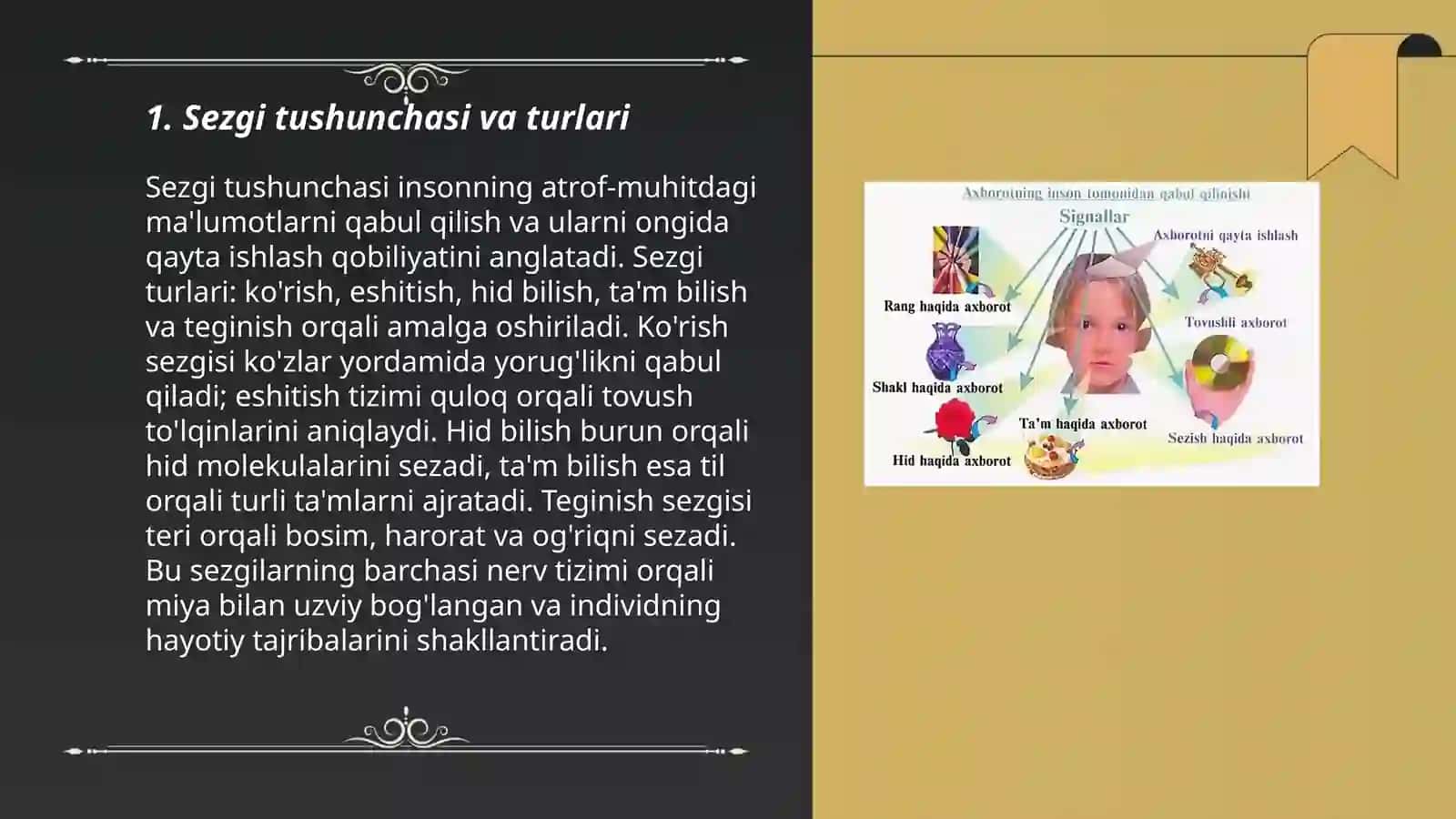 Sezgi turlari va ahamiyat 3
